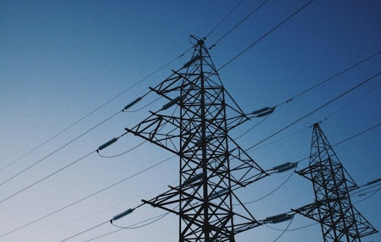 South Durham Goes Dark: Fallen Tree Blacks Out 7,000 Duke Energy Customers