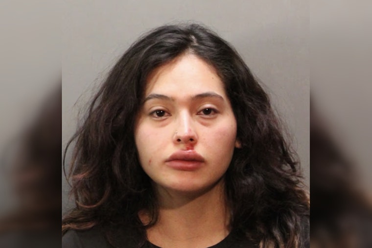 South Hempstead Woman, 27, Charged After Spraying Cop, Kicking Another