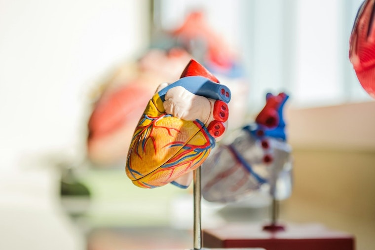 Spartanburg Regional Announces $325M Heart Hospital, Upstate's First