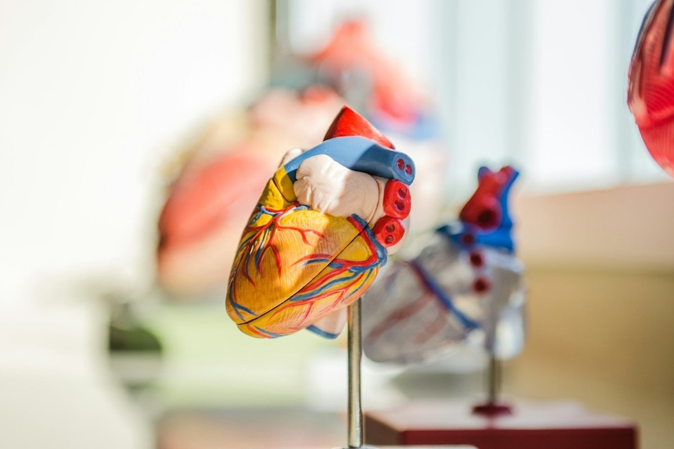 Spartanburg Regional Announces $325M Heart Hospital, Upstate's First