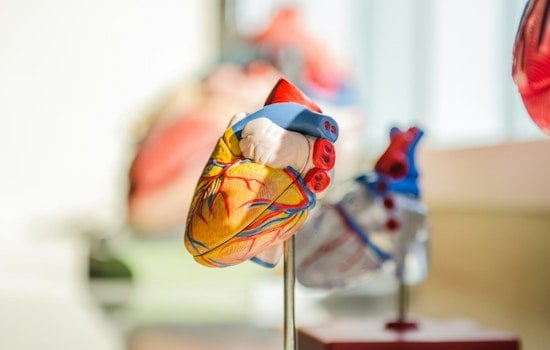 Spartanburg Regional Announces $325M Heart Hospital, Upstate's First