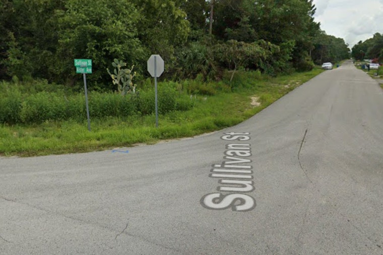 Spring Hill Sullivan Street Fire Kills Dog, Displaces Family