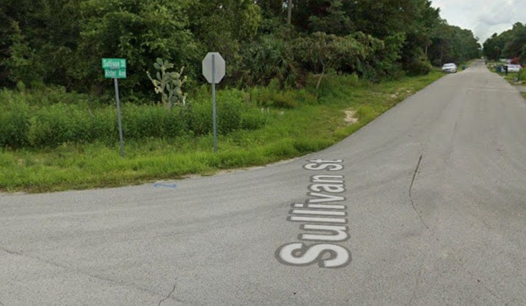 Spring Hill Sullivan Street Fire Kills Dog, Displaces Family