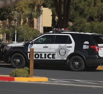Spring Valley Punch Attack Sends Metro Hunting for Suspect Near Rainbow, 215