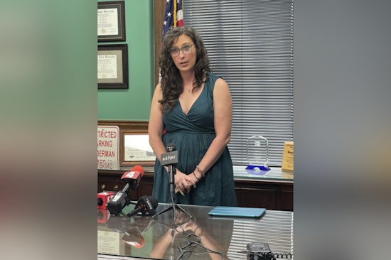 St. Louis Board President Megan Green Fined Again Over Campaign Cash Violations