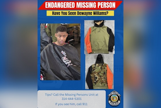 St. Louis Police Search for Missing 18-Year-Old Last Seen in Fox Park