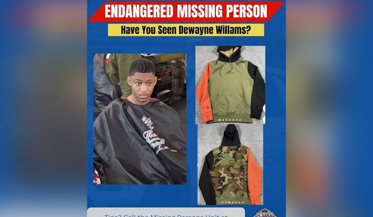 St. Louis Police Search for Missing 18-Year-Old Last Seen in Fox Park