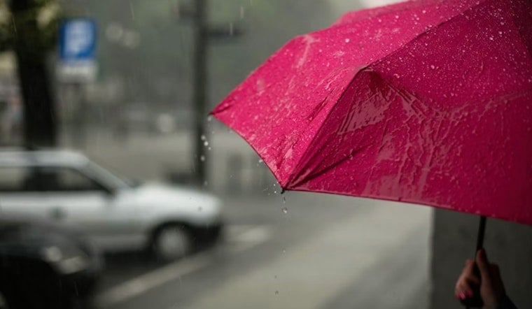 Cool, Gloomy Saturday Soaks St. Louis Before Sunshine Roars Back Monday