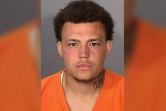 St. Paul Man, 25, Nabbed After Bullet Hits Deputy's Squad Car Near Roseville