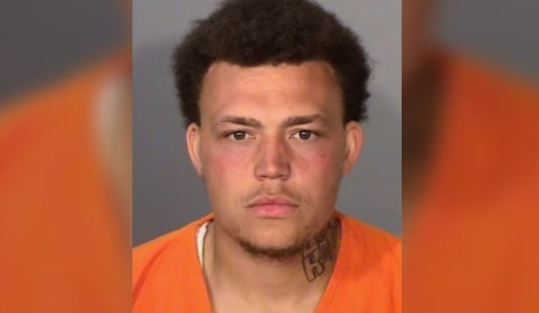 St. Paul Man, 25, Nabbed After Bullet Hits Deputy's Squad Car Near Roseville