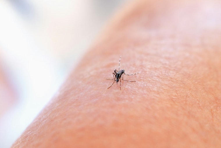 Stanislaus County Logs First West Nile Case as Mosquito Pools Surge Statewide