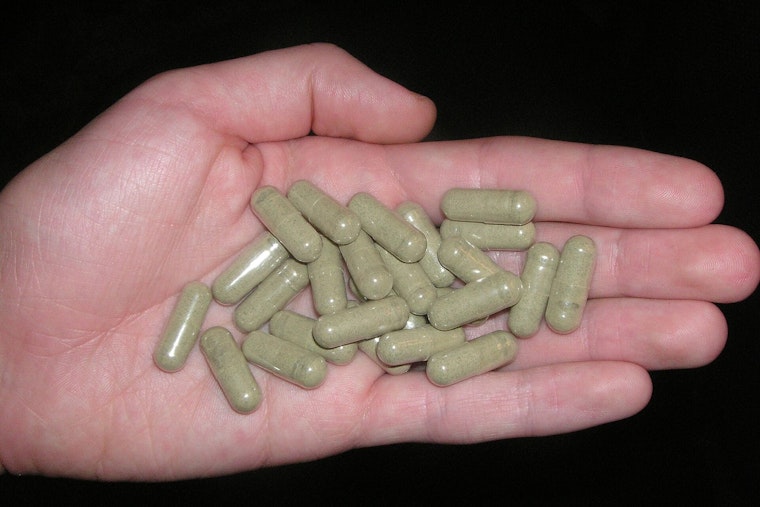 Streator Nurses Beg Council to Ban Kratom After ER Surges, Suicide Tied to Addiction