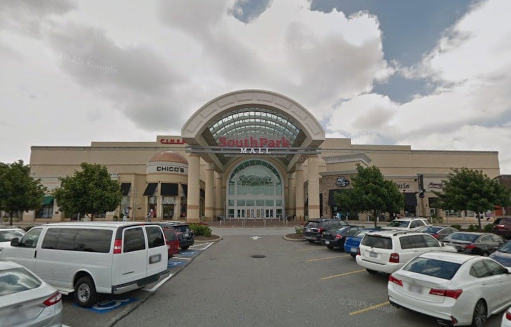 Strongsville Petland Puppy Theft Sparks Fifth-Degree Felony Case, Manager Pleads for Return