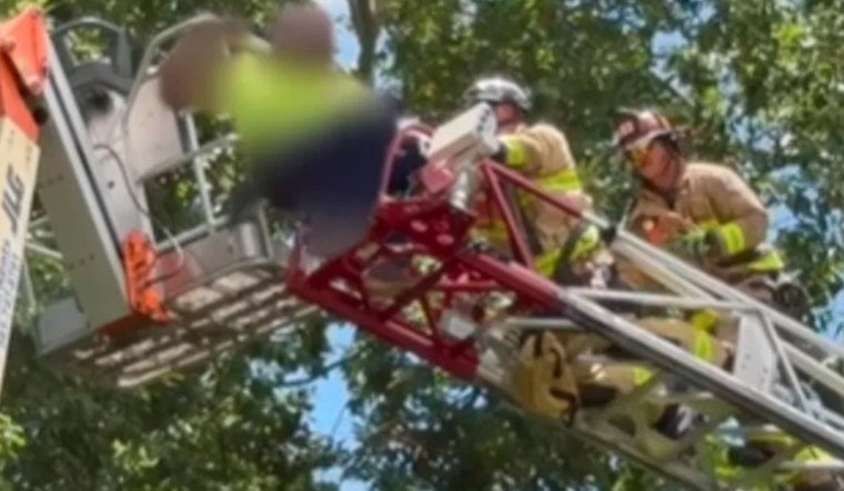 Stuart Tree Trimmer Stuck 40 Feet Up on Dead Lift, Crews Pull Off Rope Rescue