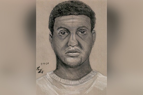 Sugar Land Police Release Sketch of Man Who Bashed Nanny With Bat
