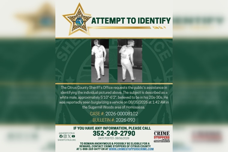 Sugarmill Woods Car Burglar Caught on Camera, Deputies Hunt for ID