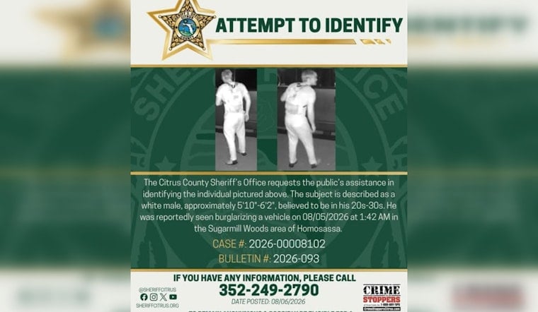 Sugarmill Woods Car Burglar Caught on Camera, Deputies Hunt for ID