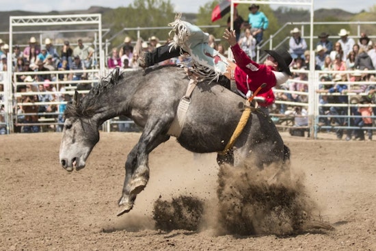 Summit County Fair's Rodeo Rolls Into Coalville as Crowds Near 30,000