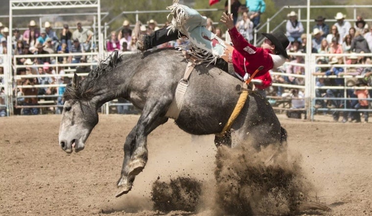 Summit County Fair's Rodeo Rolls Into Coalville as Crowds Near 30,000