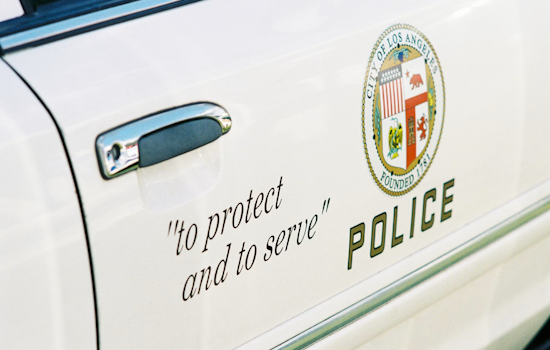 Sunland Park Foot Chase Ends With Deputy Shooting Suspect's Pit Bull