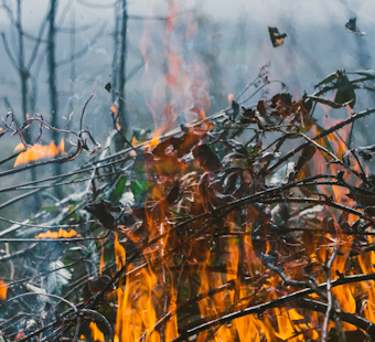 Sunrise Fire Sparks in Saugus Riverbed, Crews Stop It at Half an Acre