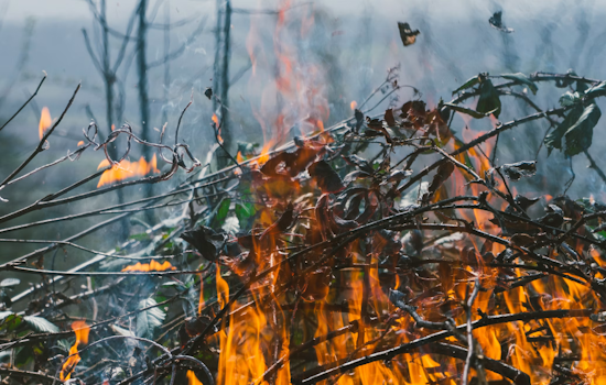 Sunrise Fire Sparks in Saugus Riverbed, Crews Stop It at Half an Acre
