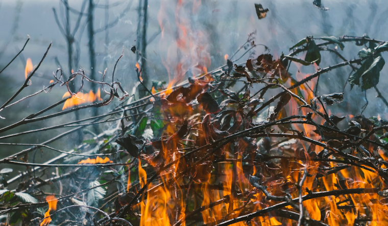 Sunrise Fire Sparks in Saugus Riverbed, Crews Stop It at Half an Acre