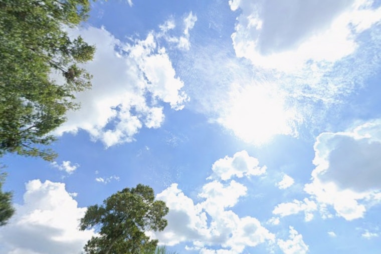 Tampa Bay Sizzles at 94 Before Stormy Week Rolls In