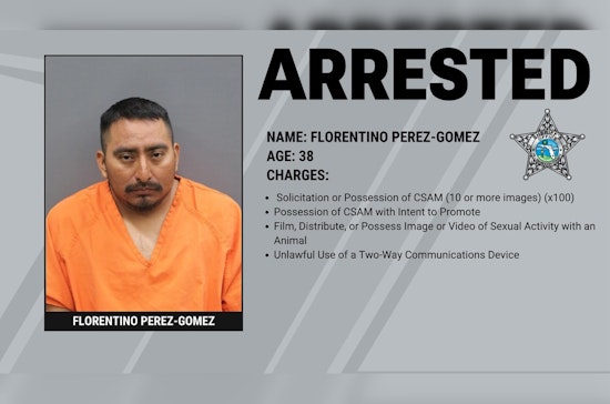 Tampa Man, 38, Hit With 100 Child Sex Abuse Counts After SWAT Raid