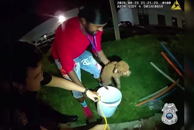 Tampa Police Bait Trapped Dog Out of Storm Drain With Cheese and a Bucket