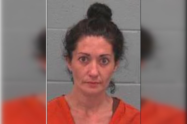 Tara McIntyre Missing From Spring Hill, Pasco Deputies Say