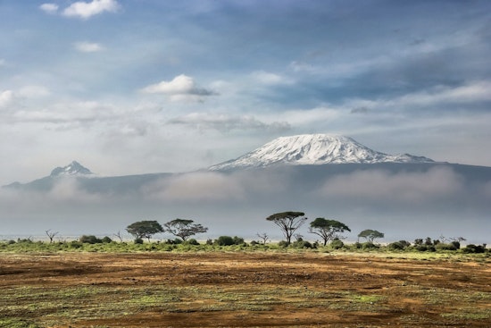 Tenafly Man Climbs Kilimanjaro in a Wheelchair, Falls Just Short of the Peak