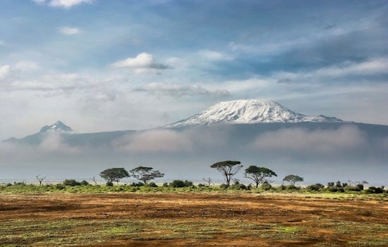 Tenafly Man Climbs Kilimanjaro in a Wheelchair, Falls Just Short of the Peak