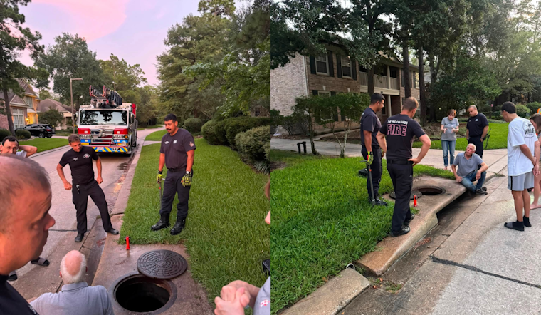 The Woodlands 911 'Dog Rescue' Turns Out to Be Lovesick Sewer Frog