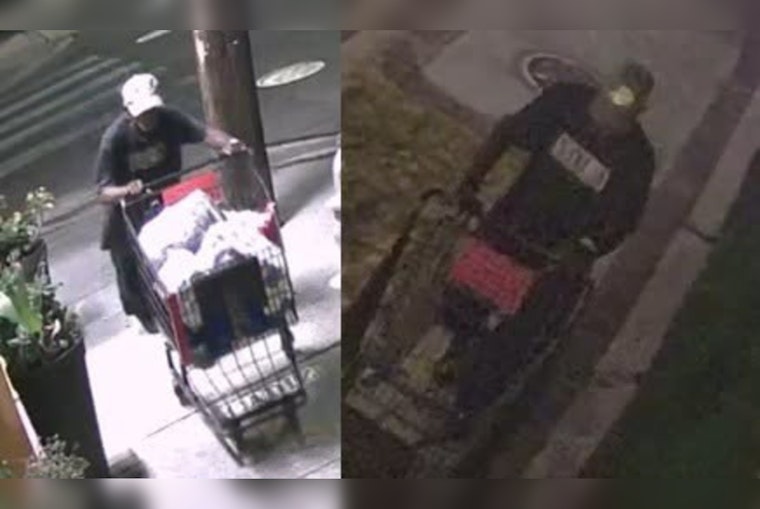 Thief Raids Uptown Rescue Van Three Times, Forces Pet Food Bank To Close
