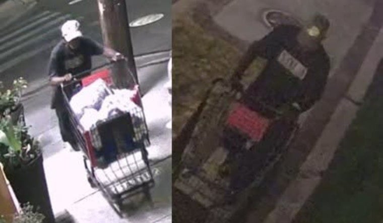 Thief Raids Uptown Rescue Van Three Times, Forces Pet Food Bank To Close