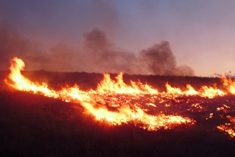 Three Everglades Fires Force Krome Avenue Shutdown, Trap Drivers for Hours