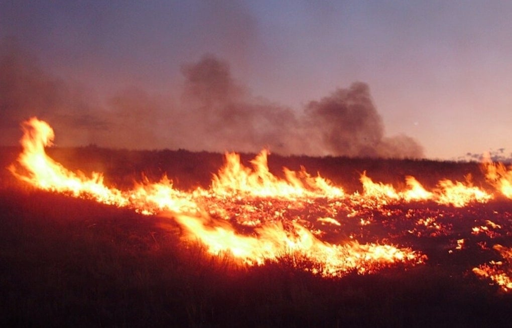 Three Everglades Fires Force Krome Avenue Shutdown, Trap Drivers for Hours