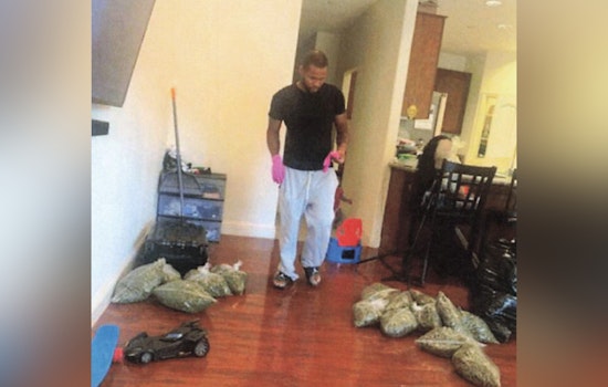 Troy Man Becomes 25th and Final Guilty Plea in 15,000-Pound Marijuana Ring