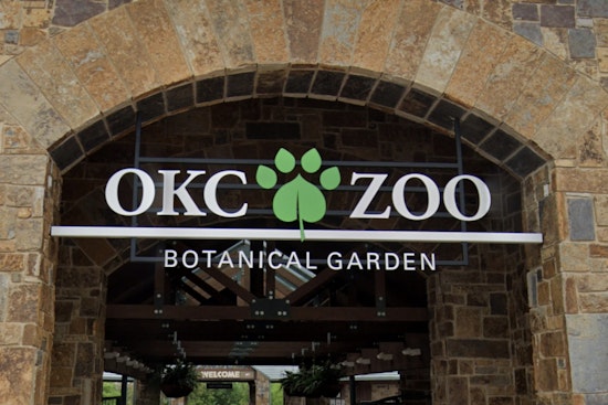 Trunk Show in Oklahoma City: Zoo’s Endangered Asian Elephant Kairavi Expecting 2027 Calf