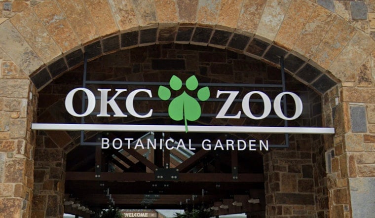 Trunk Show in Oklahoma City: Zoo’s Endangered Asian Elephant Kairavi Expecting 2027 Calf