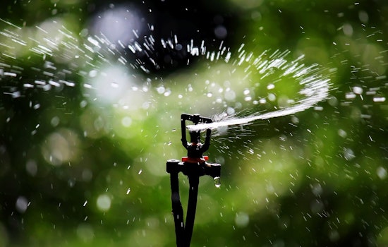 Tuttle Cracks Down on Watering as Heat Wave Drains Towers to 70%