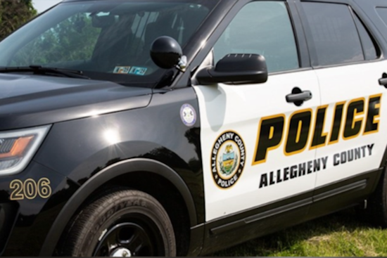 Two Men Assault Bridgeville Homeowner, Steal Car Found Hours Later in Pittsburgh