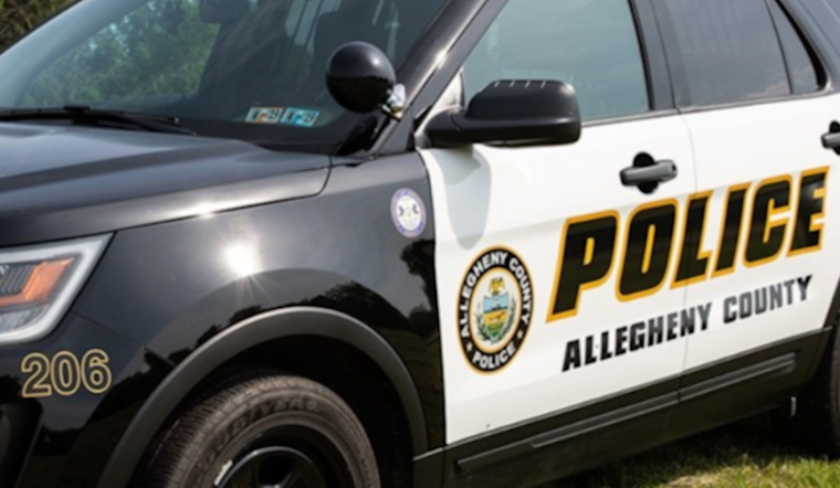 Two Men Assault Bridgeville Homeowner, Steal Car Found Hours Later in Pittsburgh