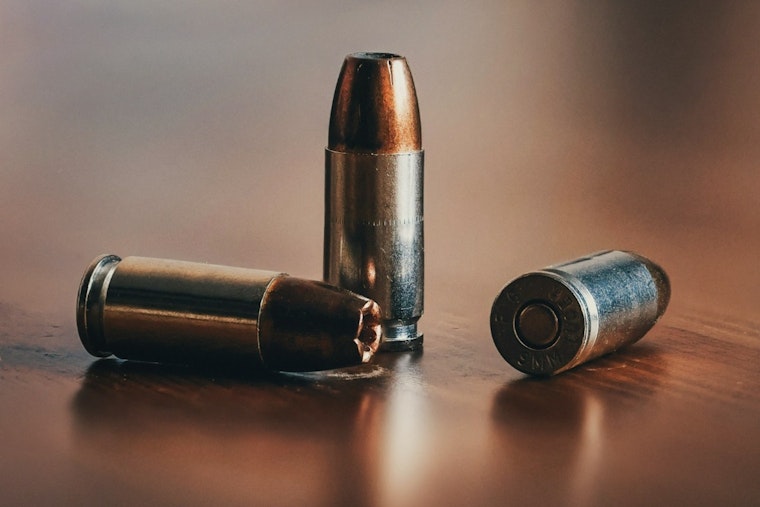 Two Men Found Shot Dead in Chestnut Stump Road Front Yard, Henderson County, S.C.