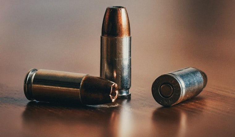 Two Men Found Shot Dead in Chestnut Stump Road Front Yard, Henderson County, S.C.