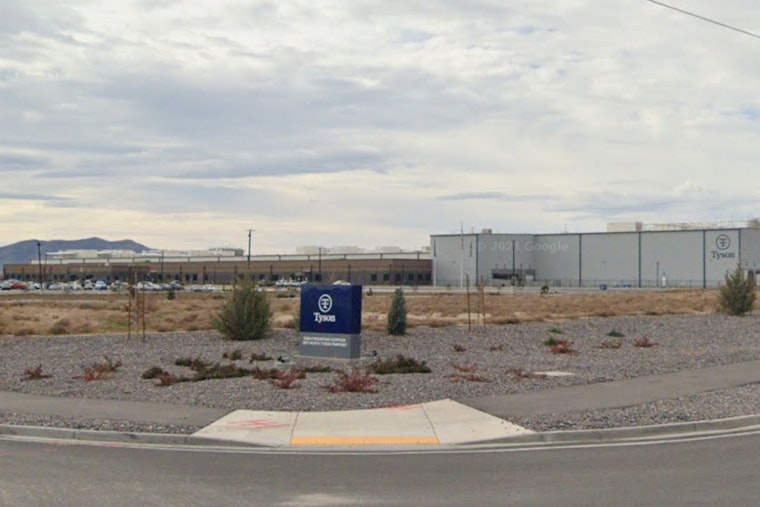 Tyson Shuts Illinois, Utah Beef Plants as U.S. Cattle Herd Hits 75-Year Low