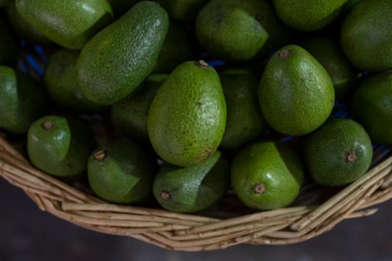 US Halts Avocado Inspections in Michoacán After Cartel Leader's Arrest