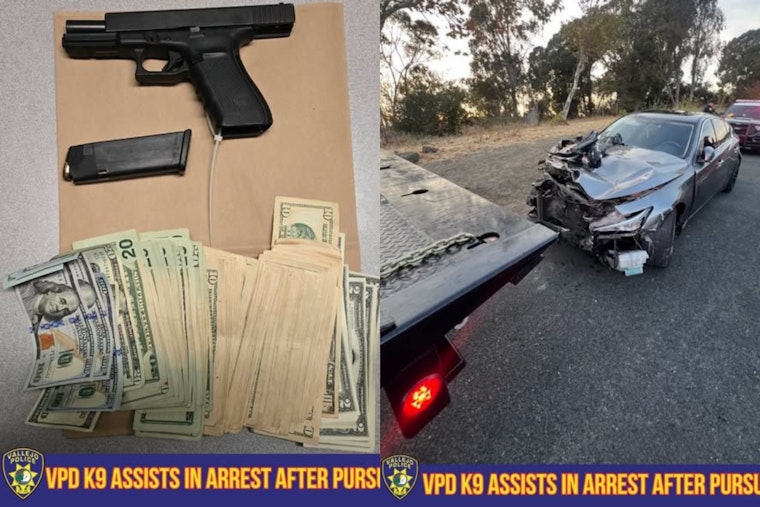 Vallejo Traffic Stop Sparks 15-Mile I-80 Chase, Attempted Carjacking, K9 Capture