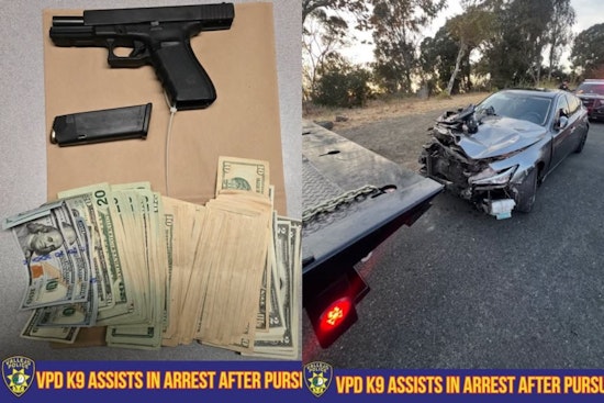 Vallejo Traffic Stop Sparks 15-Mile I-80 Chase, Attempted Carjacking, K9 Capture